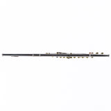 Selmer Model SFL301 Closed Hole Student Flute SN J0925335 NICE- for sale at BrassAndWinds.com
