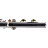Selmer Model SFL301 Closed Hole Student Flute SN J0925337 NICE- for sale at BrassAndWinds.com