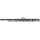 Selmer Model SFL301 Closed Hole Student Flute SN J0925337 NICE- for sale at BrassAndWinds.com