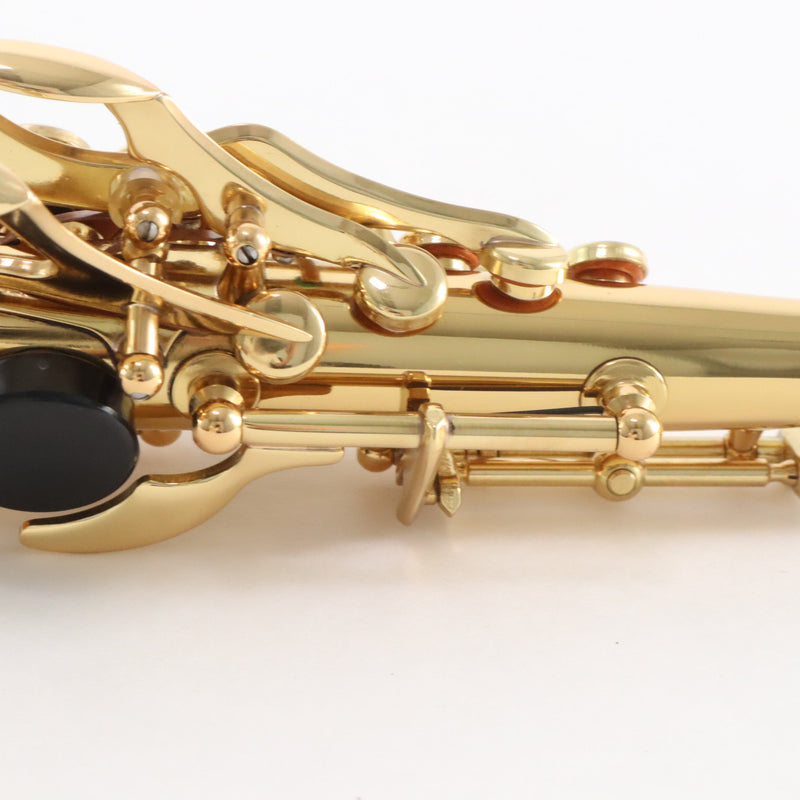 Selmer Model SSS311 Intermediate Soprano Saxophone SN 22098079 OPEN BOX- for sale at BrassAndWinds.com