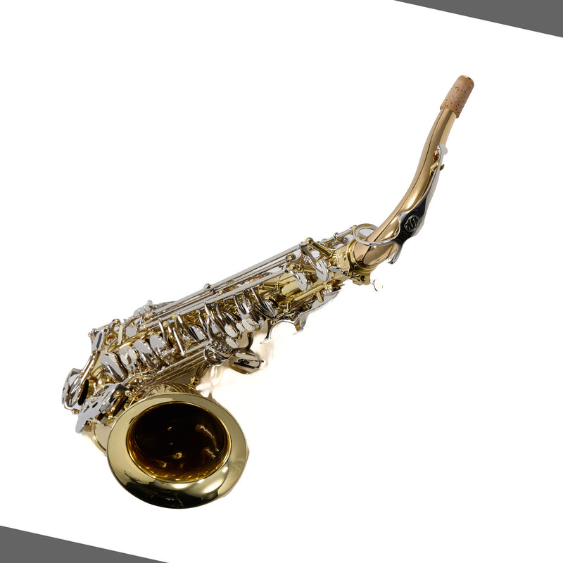 Selmer Model STS301 Student Tenor Saxophone SN AT16125018 GORGEOUS- for sale at BrassAndWinds.com