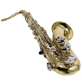 Selmer Model STS301 Student Tenor Saxophone SN AT16125018 GORGEOUS- for sale at BrassAndWinds.com
