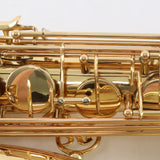 Selmer Model STS411 Intermediate Tenor Saxophone SN 23043534 OPEN BOX- for sale at BrassAndWinds.com