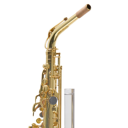 Selmer Paris 52AXOS Professional Alto Saxophone