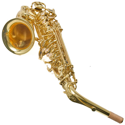 Selmer Paris 52AXOS Professional Alto Saxophone