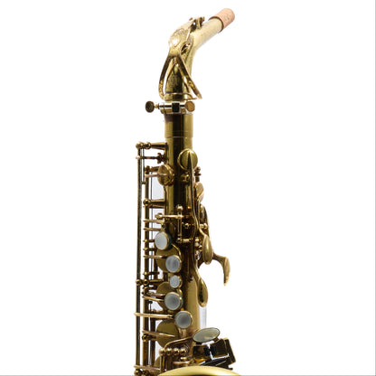 Selmer Paris Mark VI Professional Alto Saxophone
