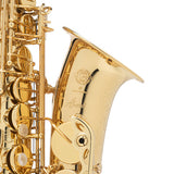 Selmer Paris Model 52AXOS Professional Alto Saxophone BRAND NEW- for sale at BrassAndWinds.com