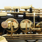 Selmer Paris Model 52JBL 'Series II Jubilee' Alto Saxophone in Black Lacquer MINT CONDITION- for sale at BrassAndWinds.com