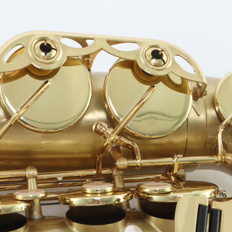 Selmer Paris Model 52JM 'Series II Jubilee' Alto Saxophone SN 843797 SUPERB- for sale at BrassAndWinds.com