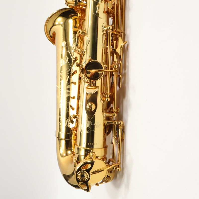 Selmer Paris Model 82SIG 'Signature' Alto Saxophone in Gold Lacquer SN 855327 GORGEOUS- for sale at BrassAndWinds.com