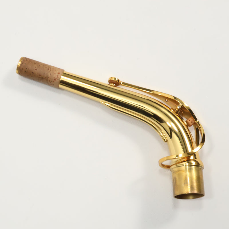 Selmer Paris Model 82SIG 'Signature' Alto Saxophone in Gold Lacquer SN 855327 GORGEOUS- for sale at BrassAndWinds.com