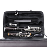 Selmer Paris Model A16 'Presence' SeleS Professional A Clarinet SN R00410 OPEN BOX- for sale at BrassAndWinds.com