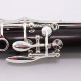 Selmer Paris Model A16SIGEV 'Signature Evolution' A Clarinet OPEN BOX- for sale at BrassAndWinds.com