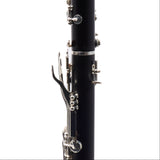 Selmer Paris Model B16 'Presence' Professional Bb Clarinet SN S03149 EXCELLENT
