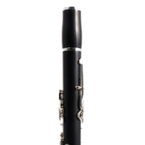 Selmer Paris Model B16PRESENCE Professional Bb Clarinet SN R02830 EXCELLENT