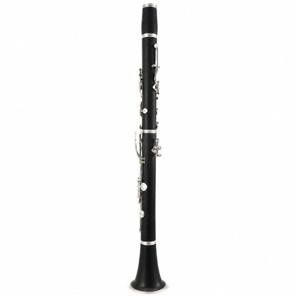 Selmer Paris Series 10 Professional Bb Clarinet in Grenadilla