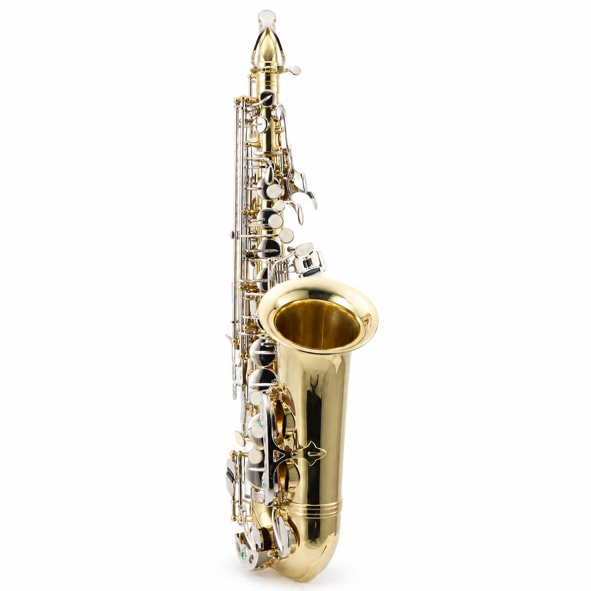 Selmer SAS201 Student Alto Saxophone in Clear Lacquer
