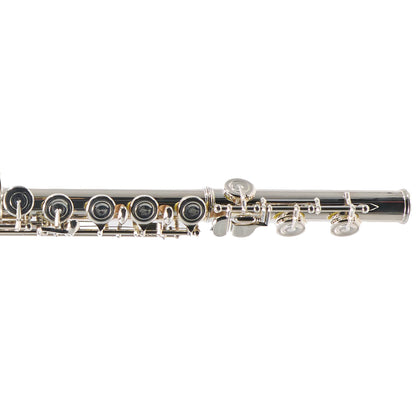 Selmer SFL301 Closed Hole Student Flute