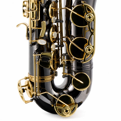 Selmer STS511B Intermediate Bb Tenor Saxophone in Black Nickel