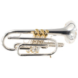 Stomvi Forte Professional Cornet SN 0013682 EXCELLENT