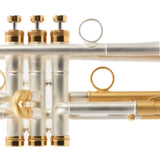 Taylor London Model Professional Bb Trumpet SN 35379 NICE