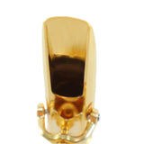 Theo Wanne DURGA5 Gold 7 Alto Saxophone Mouthpiece OPEN BOX- for sale at BrassAndWinds.com