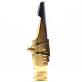Theo Wanne EARTH2 Gold 7 Alto Saxophone Mouthpiece OPEN BOX- for sale at BrassAndWinds.com