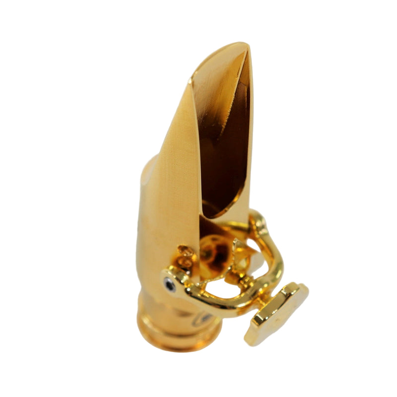 Theo Wanne GAIA2 Gold 9 Alto Saxophone Mouthpiece
