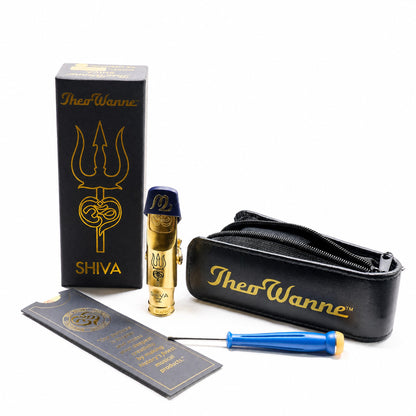Theo Wanne SHIVA4 Gold 7 Alto Saxophone Mouthpiece