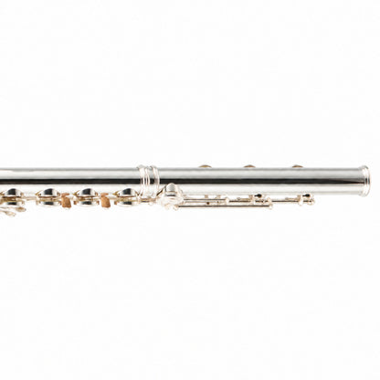 Willam. S. Haynes 5PT 16 ST OCEB Professional C Flute in 5% Platinum
