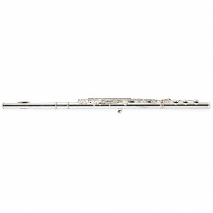 Willam. S. Haynes 5PT 16 ST OCEB Professional C Flute in 5% Platinum
