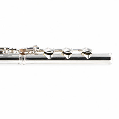 Willam. S. Haynes 5PT 16 ST OCEB Professional C Flute in 5% Platinum