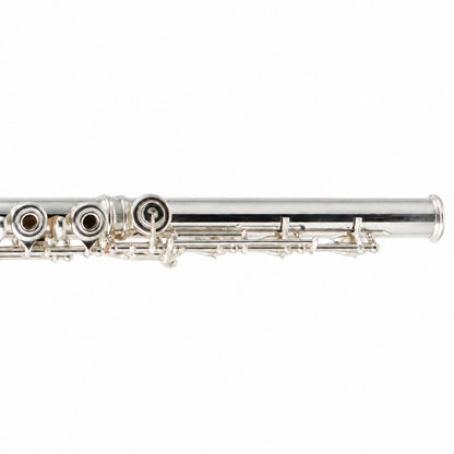 Willam. S. Haynes 5PT 16 ST OCEB Professional C Flute in 5% Platinum