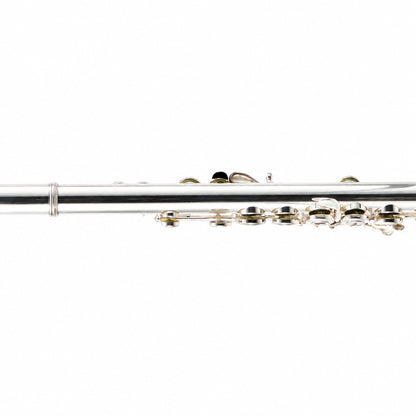 Willam. S. Haynes 5PT 16 ST OCEB Professional C Flute in 5% Platinum