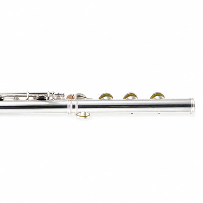 William S. Haynes 5P ST OCDB Custom 5% Gold Professional Flute