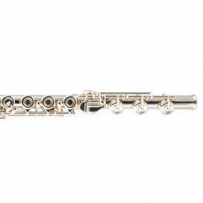William S. Haynes 5P ST OCDB Custom 5% Gold Professional Flute