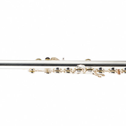 William S. Haynes 5P ST OCDB Custom 5% Gold Professional Flute