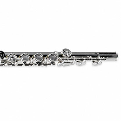 William S. Haynes AF480-CO 'Amadeus' Student Concert Flute in Silver Plate