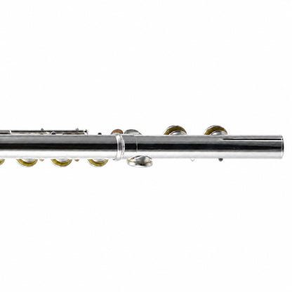 William S. Haynes AF480-CO 'Amadeus' Student Concert Flute in Silver Plate