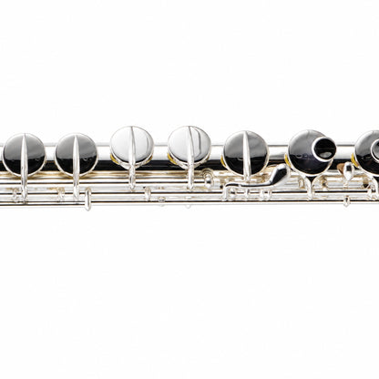 William S. Haynes AF670-C 'Amadeus Alto Flute with Sterling Silver Curved Headjoint