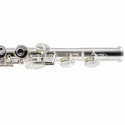 William S. Haynes AF670-C 'Amadeus Alto Flute with Sterling Silver Curved Headjoint
