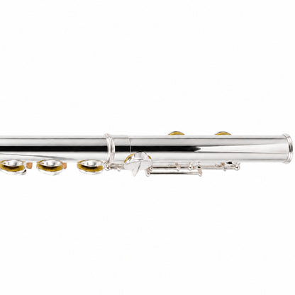 William S. Haynes AF670-S 'Amadeus' Alto Flute with Sterling Silver Straight Headjoint