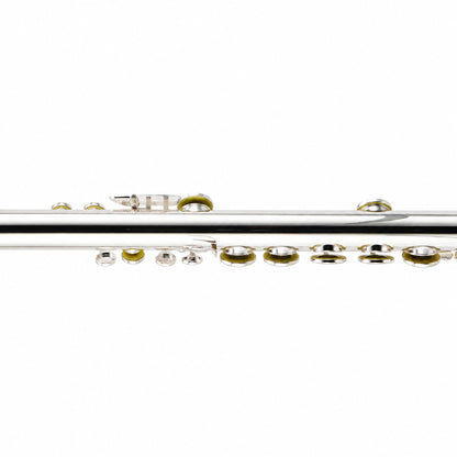 William S. Haynes AF670-S 'Amadeus' Alto Flute with Sterling Silver Straight Headjoint