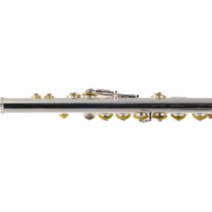 William S. Haynes AF680-BO C# 'Amadeus' Flute with Classic Headjoint, 14K Riser