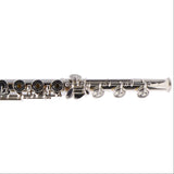 William S. Haynes AF900SE-BO C# 'Amadeus' Solid Silver Flute SN 11002 EXCELLENT