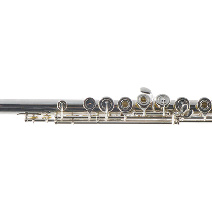 William S. Haynes Handmade 5% Gold Custom Flute with B Foot, Offset G, C# Trill Key