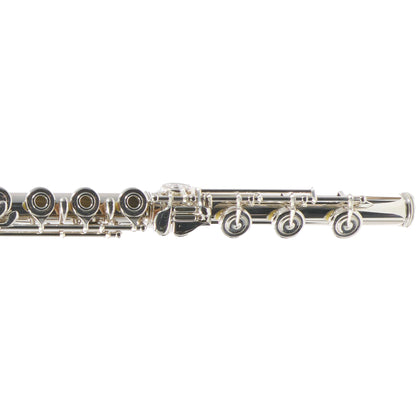 William S. Haynes Handmade 5% Gold Custom Flute with B Foot, Offset G, C# Trill Key