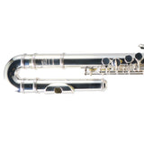 William S. Haynes Model AF570-CS 'Amadeus' Alto Flute SN B2200394