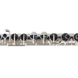 William S. Haynes Model AF570-CS 'Amadeus' Alto Flute SN B2200394