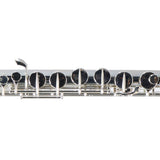 William S. Haynes Model AF570-CS 'Amadeus' Alto Flute SN B2405246